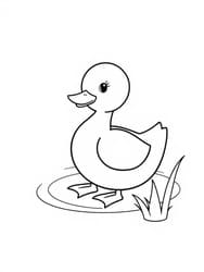 Baby Duck with Webbed Feet coloring preview