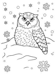 Fluffy Baby Owl in Winter Snow coloring preview