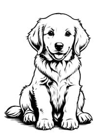 Golden Retriever Puppy Portrait coloring preview
