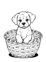 Puppy in Basket