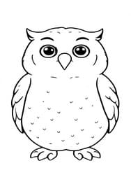 Owl with Rounded Body coloring preview