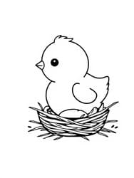 Chick Emerging from Egg coloring preview