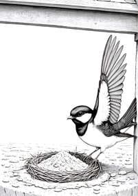 Barn Swallow Flying to Mud Nest coloring preview