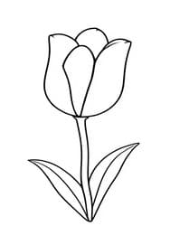 Cartoon Tulip with Petals and Leaves coloring preview