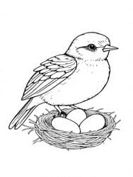 Bird Guarding Nest with Eggs coloring preview