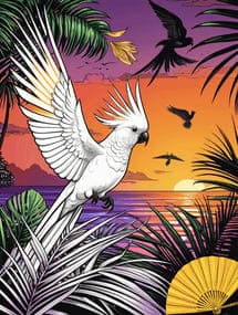 Birds coloring pages