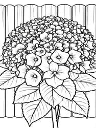 Hydrangea Bush Over Fence coloring preview