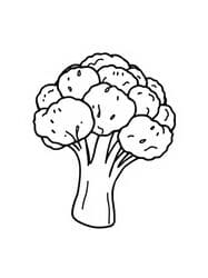 Broccoli Florets on Thick Stem coloring preview