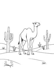 Camel in Desert Landscape