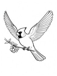 Cardinal Soaring with Berry Cluster coloring preview