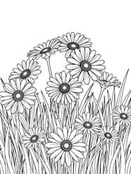Cheerful Field of Daisies