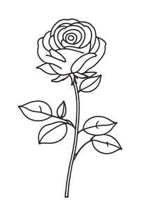 Beautiful Single Rose with Stem coloring preview