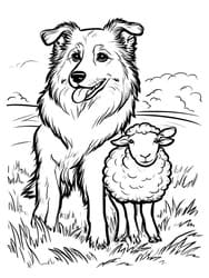 Collie Standing with Sheep coloring preview