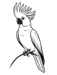 Crested Cockatoo Raising Fan Crest coloring preview