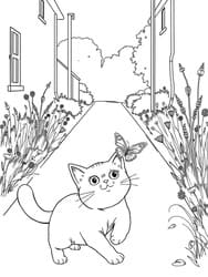 Kitten Chasing Butterfly on Path