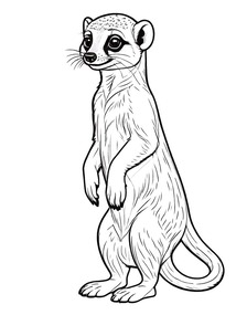 Standing Meerkat on Watch coloring preview