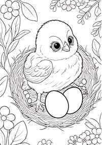 Baby Chick in Nest with Eggs