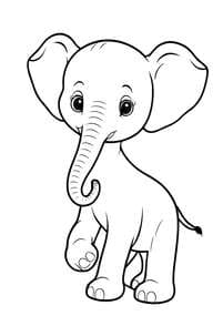 Baby Elephant with Big Ears