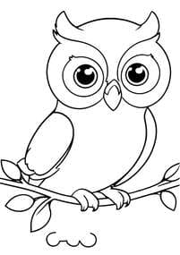 Big-Eyed Owl Perched on Branch coloring preview