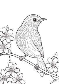 Bird on Cherry Blossom Branch coloring preview