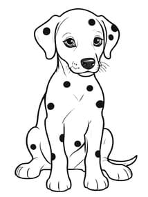 Dalmatian Puppy Sitting coloring preview