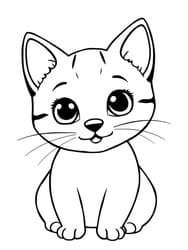 Sweet Kitty with Big Eyes