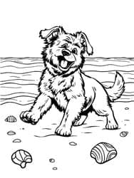 Puppy Running on Beach