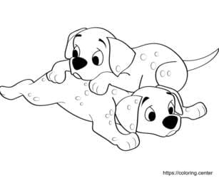 Two Dalmatian Puppies Playing