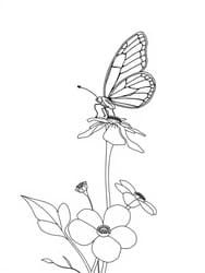 Butterfly on Blooming Flowers