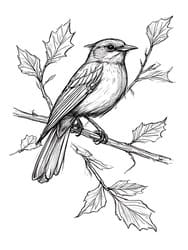 Chickadee Perched on Holly Branch coloring preview