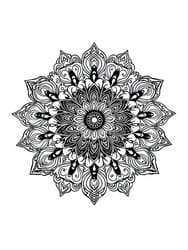 Ornate Circular Mandala