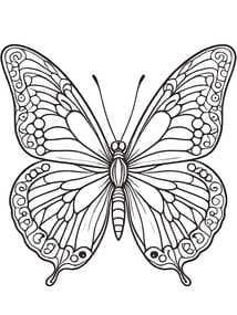 Beautiful Detailed Butterfly coloring preview