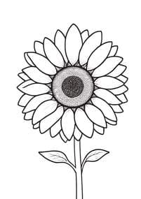 Sunflower Flower with Stem coloring preview