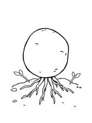 Potato with Sprouts and Roots coloring preview