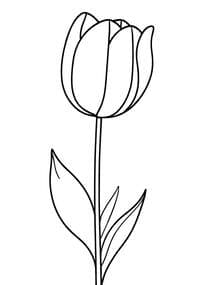 Elegant Tulip with Stem coloring preview