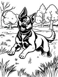 Puppy Running in Park