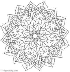 Floral Petal Mandala