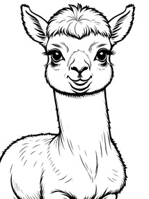 Baby Alpaca coloring preview