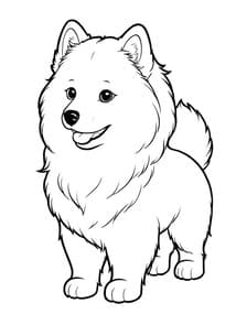 Fluffy Pomeranian Dog Smiling coloring preview
