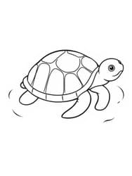 Turtle with Shell and Flippers coloring preview