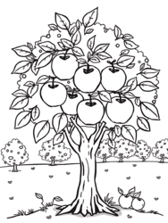 Apple Tree with Hanging Fruits coloring preview