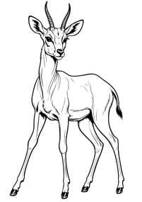 African Antelope with Ridged Horns Printable Page