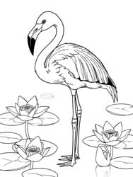 Flamingo Standing Among Lotus Pads coloring preview