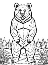 Towering Grizzly Bear in Forest coloring preview
