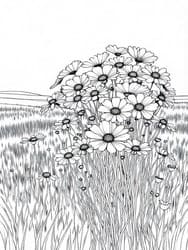 Daisies in Grassy Field coloring preview