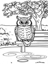 Owl with Frowning Expression coloring preview