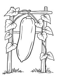 Zucchini on Wooden Trellis coloring preview