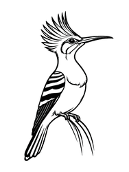 Hoopoe with Crested Crown coloring preview