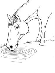 Realistic Horse Bending to Drink coloring preview