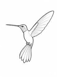 Hummingbird in Mid-Hover coloring preview